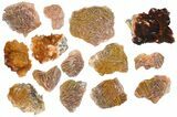 Lot - Pink and Orange Bladed Barite - Pieces - Morocco #138054-2